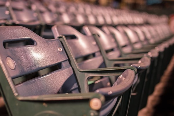 Which Baseball Fan Are You?