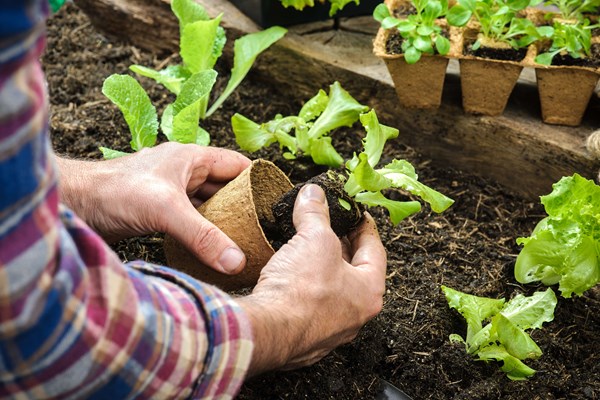 Garden like an Original