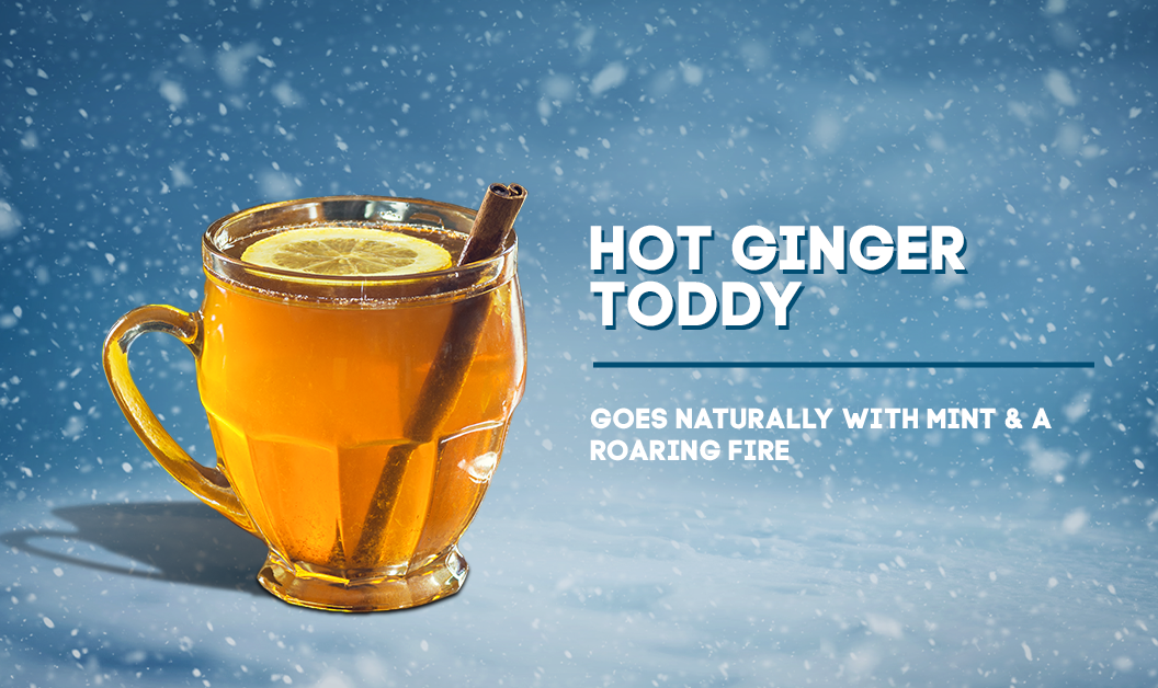 4_HOT_GINGER_TODDY.png